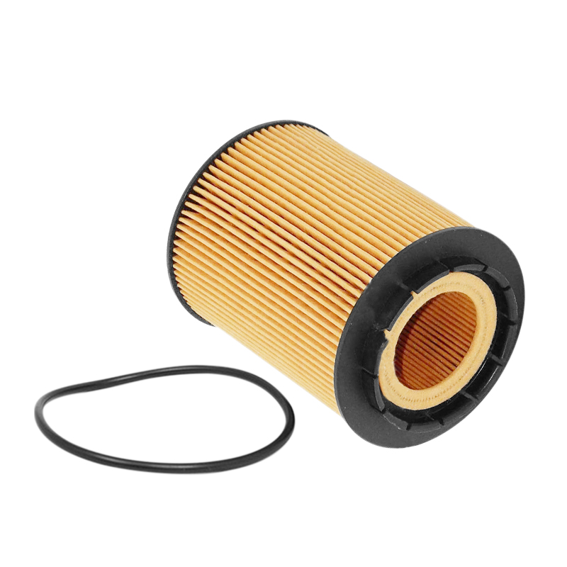 Oil Filter Fit For Audi A8 Q7 Cayenne VW Passat Touareg 021115562A 021115561B E1001HD28