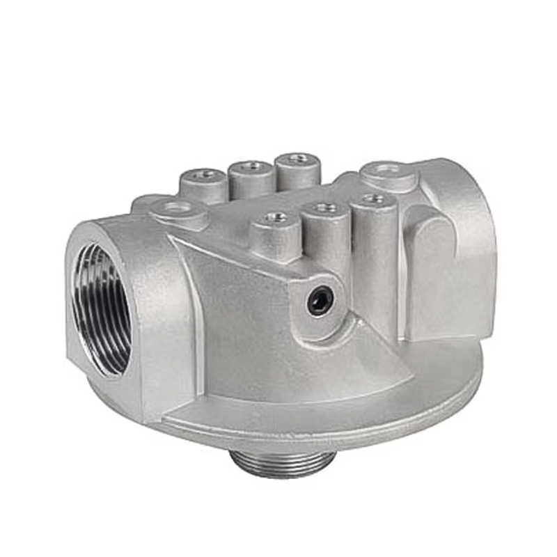 FILTER ASSEMBLY SPX-10*10 for PIPELNE