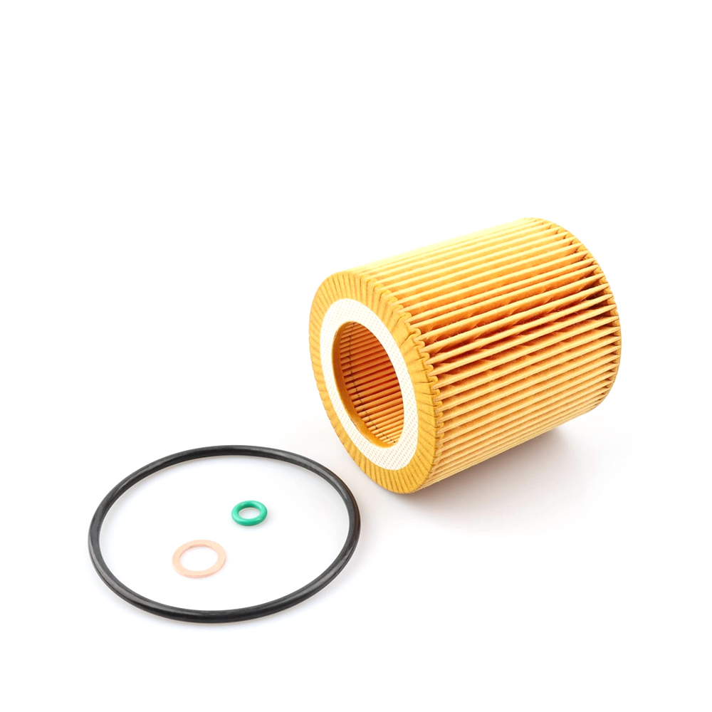 11427953129 Oil Filter for BMW N52 N54 N55-128i 135i 320i 325i 325xi